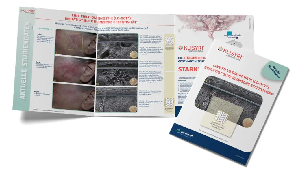 klisyri casefolder 2023 1024x614 1