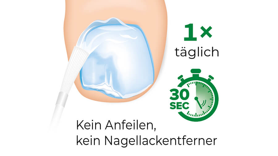 Ciclopoli Einfache Anwendung