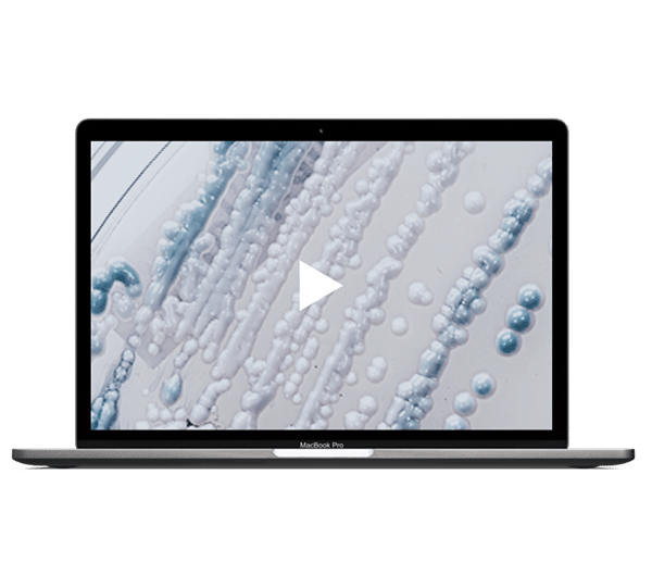API HUB Tab MockUp Decoderm Tri Video