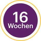 Ilumetri_Circle_2025_16_Wochen